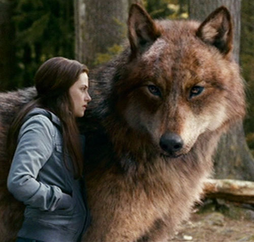 17 поучительных цитат из фильмов "Сумерки"