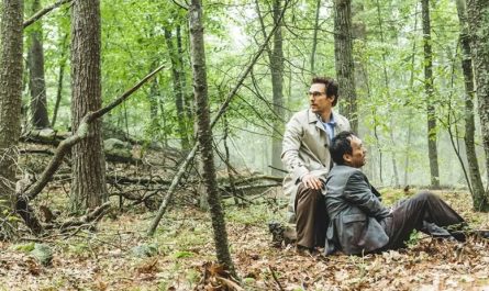 7 лучших фильмов про лес Аокигахара в Японии