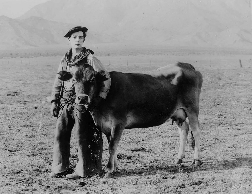 20 самых красивых американских актеров вестернов