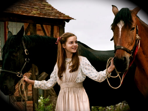 War Horse 2011