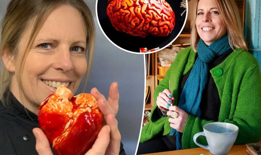 Как Сара Харди создаёт анатомически точные сердца и черепа — и они съедобны