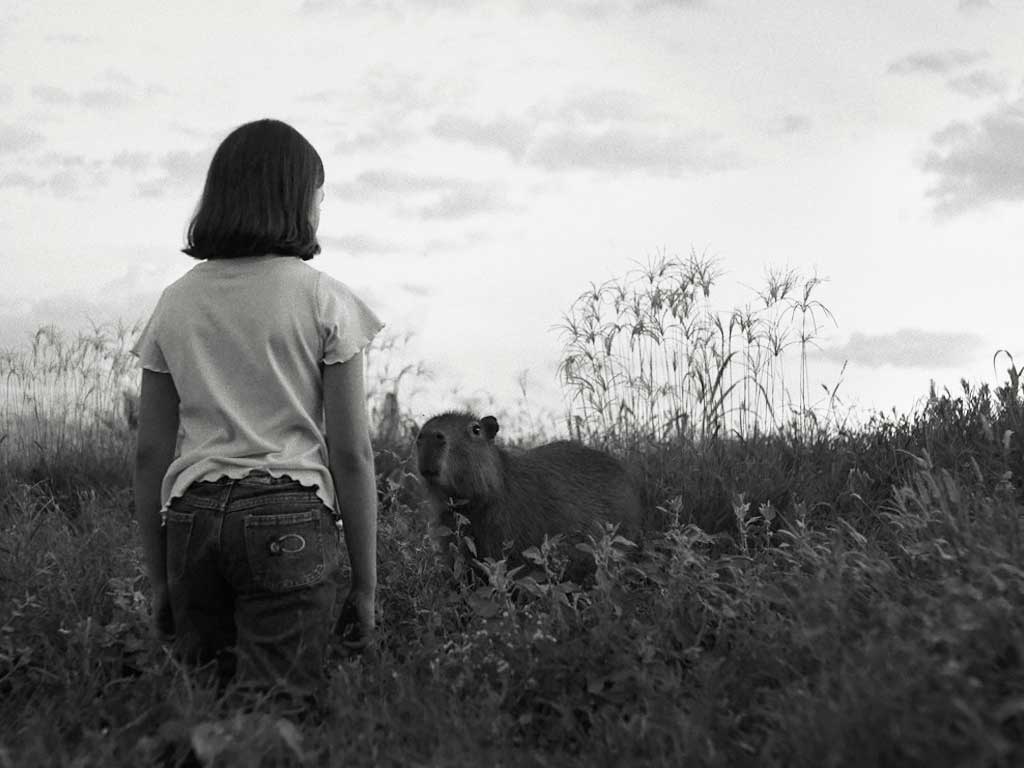 13 лучших латиноамериканских фильмов 2025 года - рейтинг