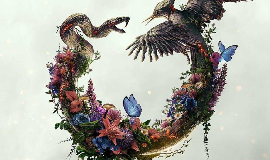 Когда выйдет новая часть «Голодных игр» — какие актёры вернутся