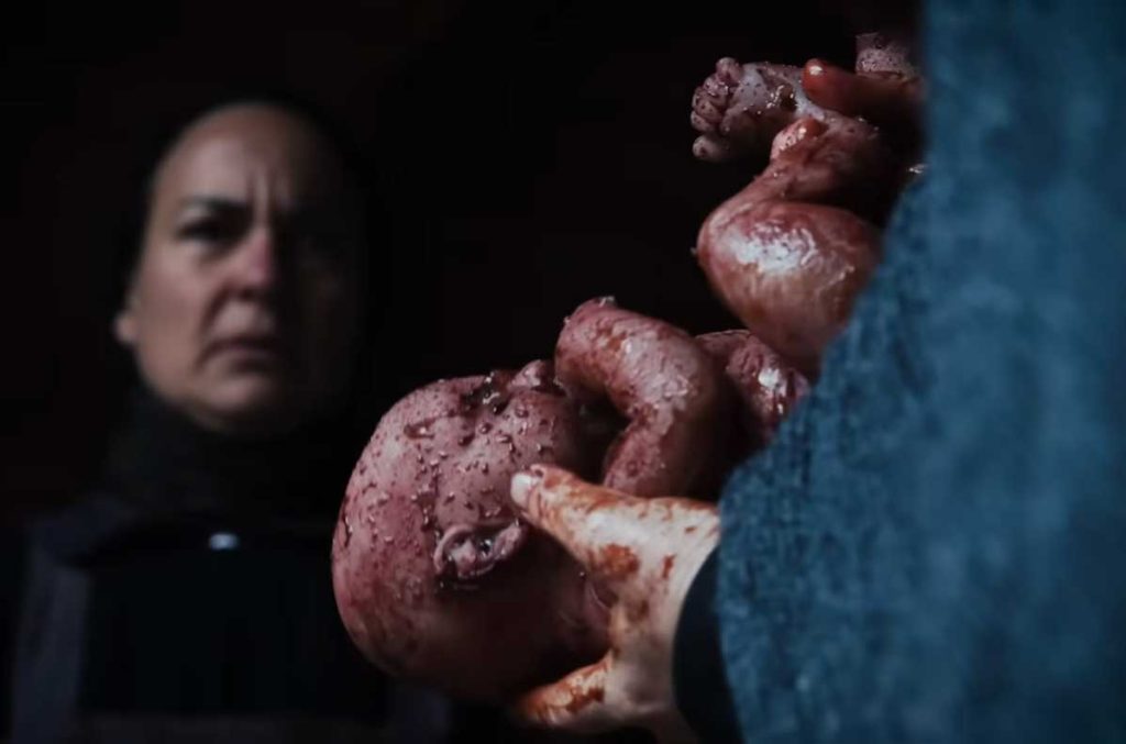 Лучшие сцены фильма «Мать мух» 2026 года - хоррор в лесу с Джоном Адамсом