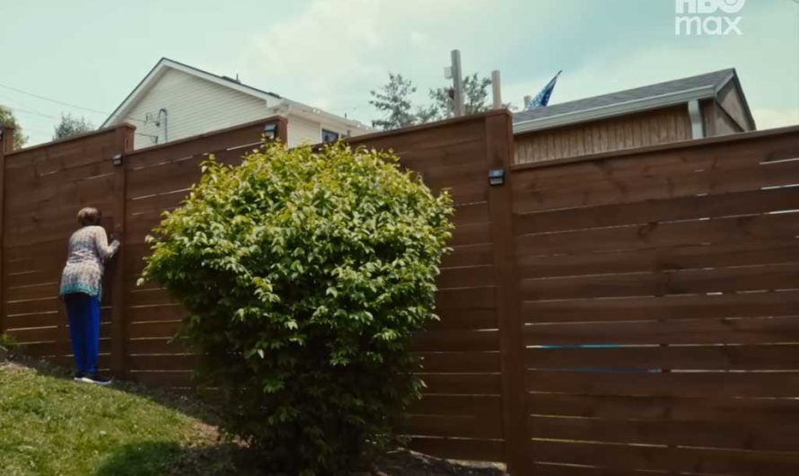 Когда забор превращается в войну: реальные фото из сериала «Соседи»