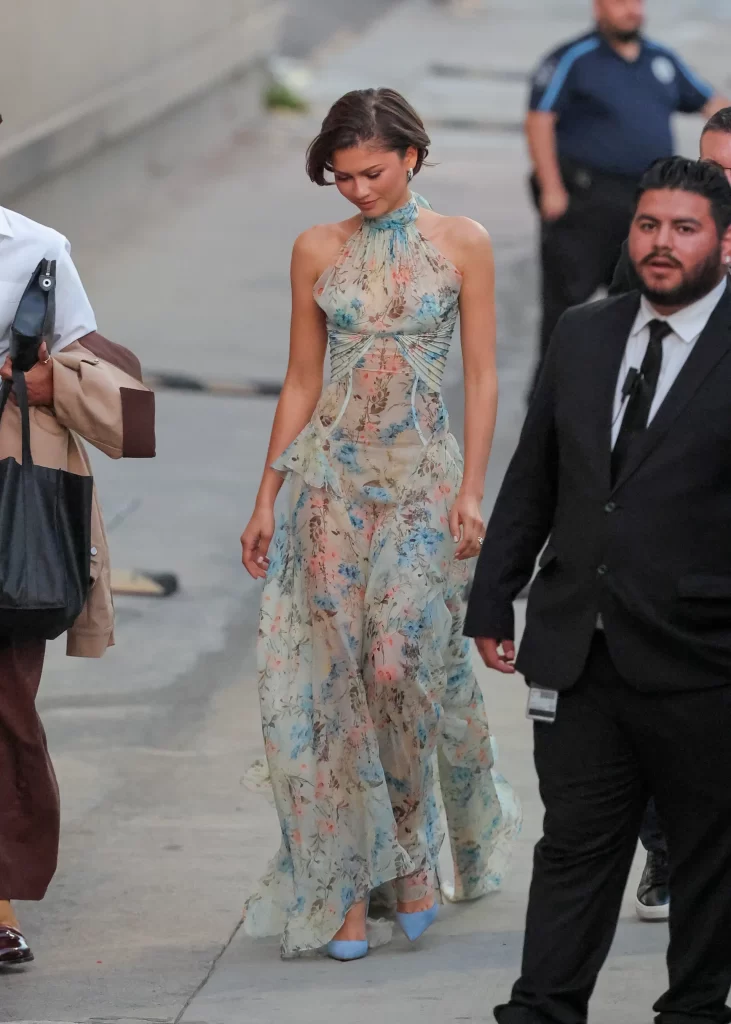 20 красивых образов Зендеи 2026 года (ФОТО)