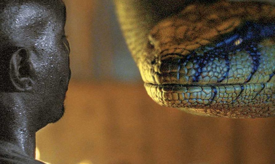 13 самых жутких фильмов про змей и монстров в джунглях