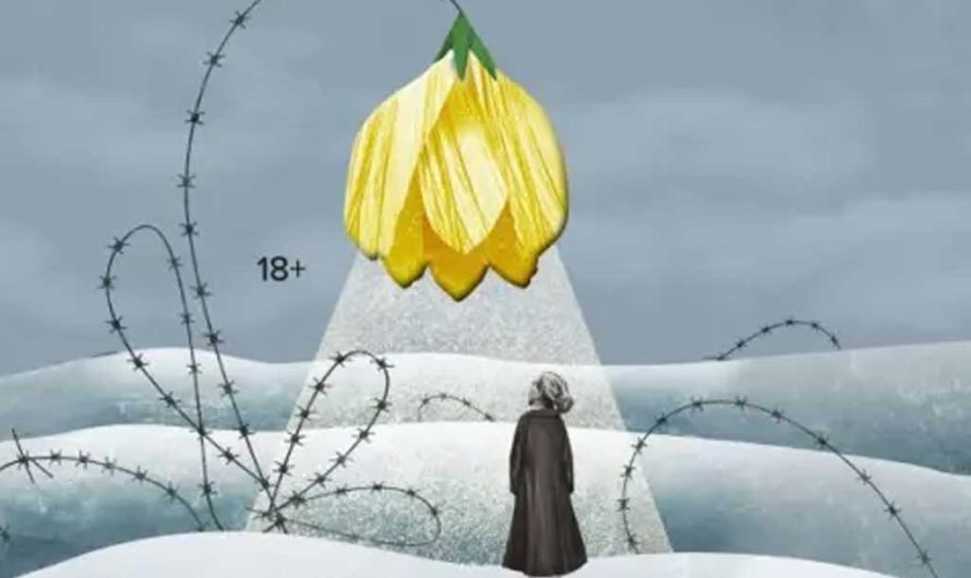 Фильм по книге Эдит Эгер «Выбор»: будет ли экранизация истории выжившей узницы Освенцима