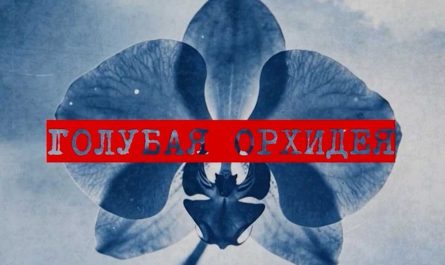 «Это было принципиальное решение»: Сергей Ватагин сделал заявление о нейрорасследовании «Голубая орхидея»