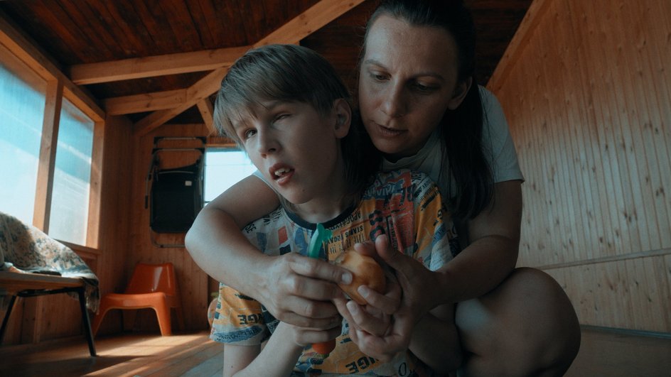 Первый международный кинофестиваль в защиту животных пройдет в Москве: какие фильмы могут войти в программу